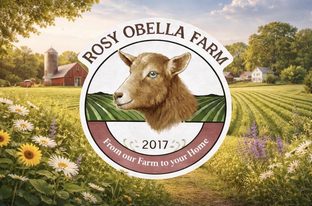 Welcome to
Rosy Obella Farm